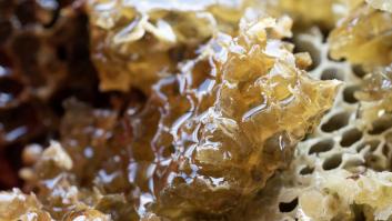 Iberdrola experimenta con la miel