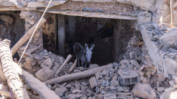 Milmillonaria ayuda a Marruecos