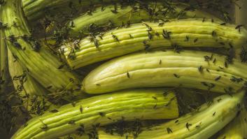 Se buscan semillas de la rara hortaliza de los mercadillos