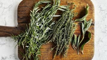 El romero planta cara a estas enfermedades