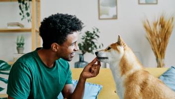 El trucazo de un adiestrador para calmar al perro más revoltoso: no necesitas hacerlo cada día