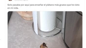 Publica una foto del "plátano más grueso" que ha visto en su vida y arrasa