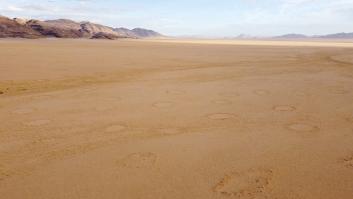 Científicos españoles arrojan luz sobre el misterioso origen de los "círculos de hadas"