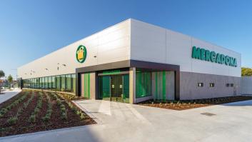 Mercadona lanza un producto que crea un revuelo pocas veces visto antes