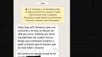 Hace un Bizum por error, le manda un WhatsApp para que se lo devuelva y la respuesta es para verla