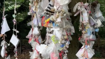 Una española no se puede creer lo que hay en un parque de Copenhague: de primeras, da miedo