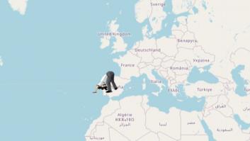 Furor por la web que desvela el punto opuesto del planeta a tu casa