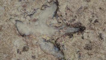 Unas huellas de dinosaurio en Marruecos desconciertan a los investigadores