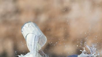 El fruto seco típico español con más calcio que el yogur