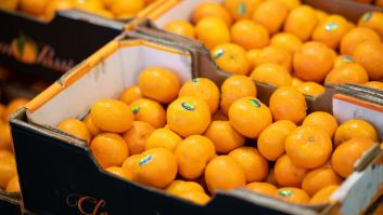 Una nueva mandarina sin semillas del extranjero pone de los nervios a España