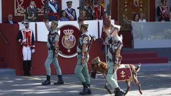 La cabra de la Legión: rango militar, por qué desfila el 12 de octubre y otras curiosidades