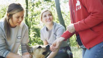 Las condiciones económicas para ser voluntario con la nueva ley animal