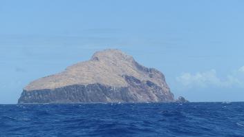 La isla lunar llena de ratas negras se convierte en un vergel en tiempo récord