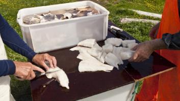 Este es el origen de la expresión 'el que corta el bacalao'