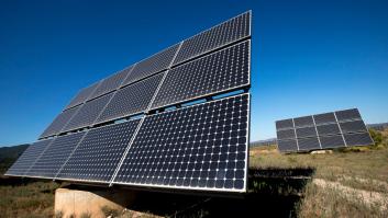 Unas plantas fotovoltaicas salvan a una especia endémica en España