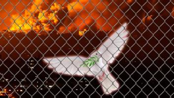 ¿Puede la UE hacer más ante el cronificado conflicto israelí-palestino?