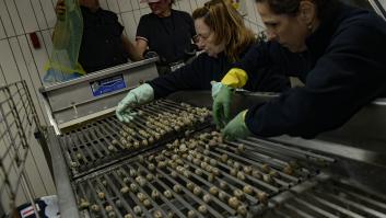 España crea 209.100 empleos en el verano y marca récord con 21,26 millones de ocupados