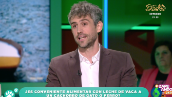 El veterinario Víctor Algra resuelve el misterio de la leche de vaca en gatos y perros