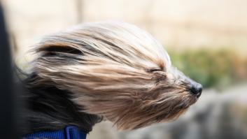 Esta es la ciudad española en la que más viento hace