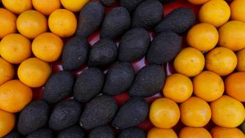 El aguacate convierte a Marruecos en la novena provincia de Andalucía