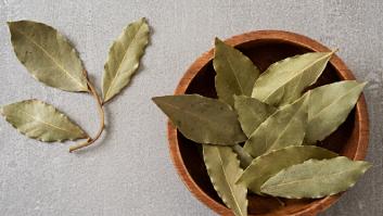 Se extiende la moda del laurel en el radiador