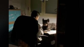 Triunfa en TikTok al enseñar cómo estudia su hermana un examen de inglés