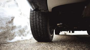 Los veterinarios piden revisar el coche antes de arrancarlo en invierno