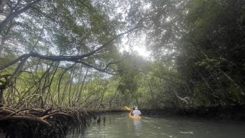 Cinco bomberos españoles desaparecen en una montaña en el suroeste de República Dominicana