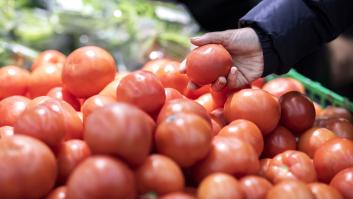 Un catedrático de Bioquímica responde a los que dicen que los tomates no saben como antes