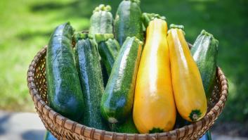 Europa manda una alerta por los pesticidas de los calabacines y pimientos españoles