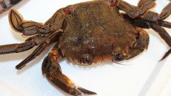 Sanidad emite un comunicado para pedir no consumir uno de los productos de Navidad de Pescanova