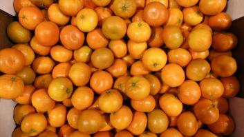 Marruecos fracasa con una de sus frutas de la fortuna