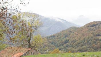 Pregunta si esto que está haciendo en el monte es legal: un abogado responde