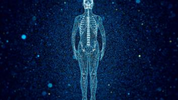 Seis partes del cuerpo humano que no sirven para nada