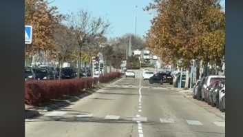 Muestra lo que se ha encontrado en una carretera de Rivas: a primera vista cuesta verlo, pero luego...