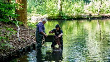 Se creía que este cangrejo limpiaba la naturaleza: en realidad transforma el plástico en una amenaza invisible