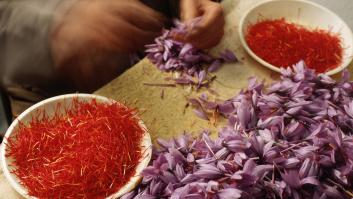 La típica especia española de los 18.000 € el kilo entra en zona de peligro