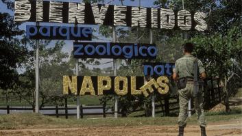 Culpan a Pablo Escobar del hallazgo de una nueva especie exótica de Asia