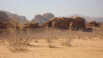 El megacontinente que dominará la Tierra en solitario dentro de 250 millones de años