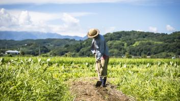 Antonio, agricultor andaluz de 51 años: "Ahora mismo gano 55 euros al día, pero nosotros trabajamos, como máximo, 5 meses al año"