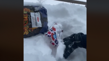 Así es como unos españoles se han montado una nevera casera en Laponia