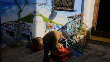Europa mira a otro lado con el tomate de Marruecos