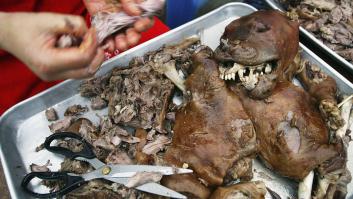 El parlamento surcoreano aprueba prohibir el consumo humano de carne de perro para 2027