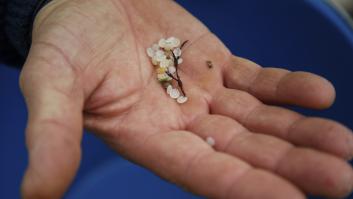 Una reconocida catedrática de Química halla un nuevo aditivo en los pellets vertidos al mar