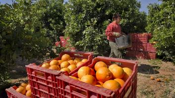 Temor con la naranja española en Asia