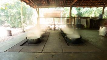 Los rituales chamánicos con ayahuasca en casas de lujo de Ibiza por 600€