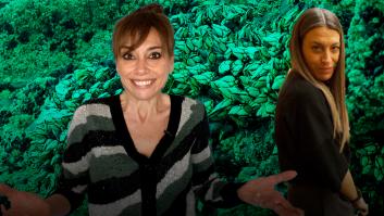 Percebes y amnistía