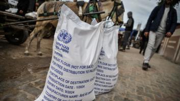 Los líderes de las principales agencias de la ONU piden que el mundo "no abandone a Gaza"