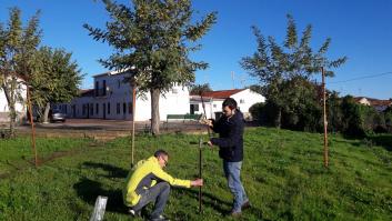 Un estudio encuentra niveles muy altos de elementos tóxicos en un conocido pueblo andaluz