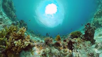 Hallan un océano en el lugar más inesperado y diminuto